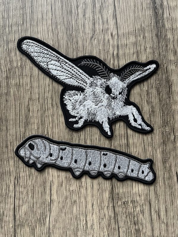 Silk Moth & Silkworm